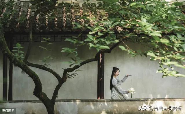 青玉案竹笛谱,青玉案六孔陶笛谱