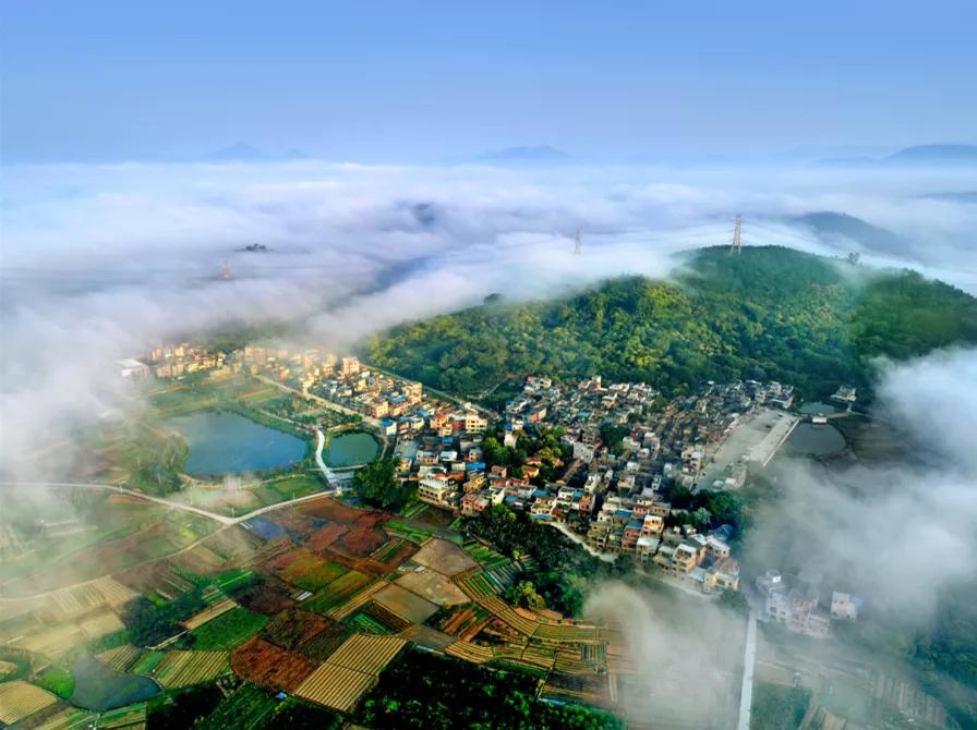 1987年广州第一个农村股份组织,广州农村集体经济组织