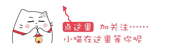 5本男主偏执腹黑宠文,快穿小说推荐男主偏执病态占有欲