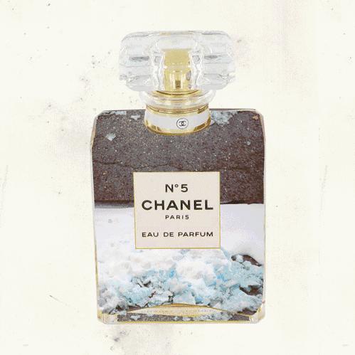 香奈儿五号之水清新花香,你身上的香水味是哪首歌的歌词