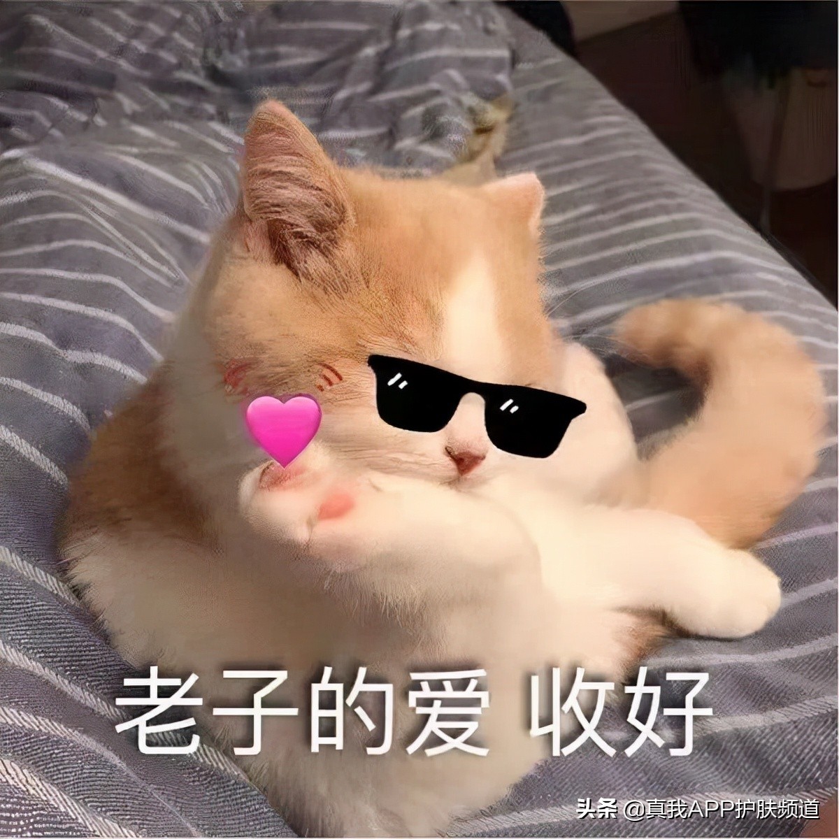 顽固黑头怎么去除最有效,变美小知识黑头怎么去掉