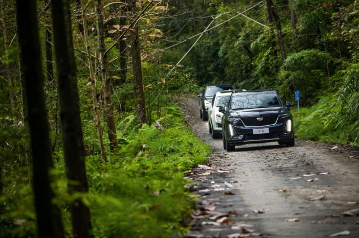 凯迪拉克纯电suv试驾视频,豪华suv就这么选