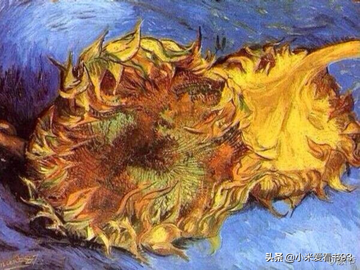 万字重磅解读,梵高传作品及解说
