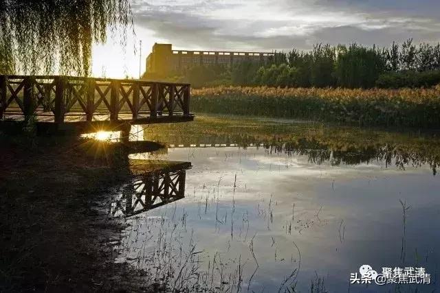 定了!武清这个镇被定为天津市特色文化产业示范镇