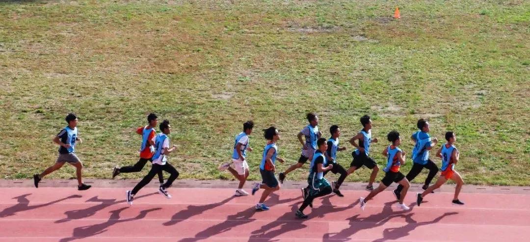 营口理工学院咋样,辽宁省公办高校营口理工学院