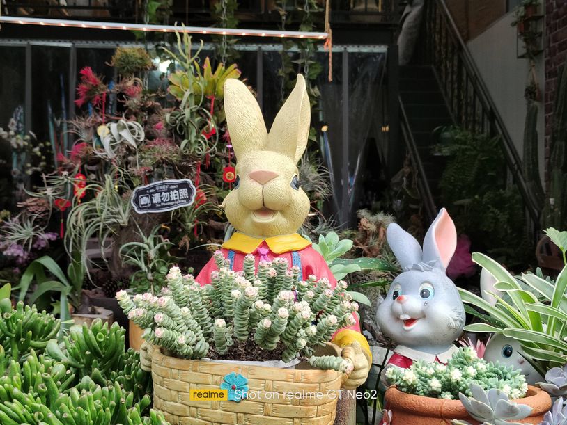 realme870鎵嬫満,realme870