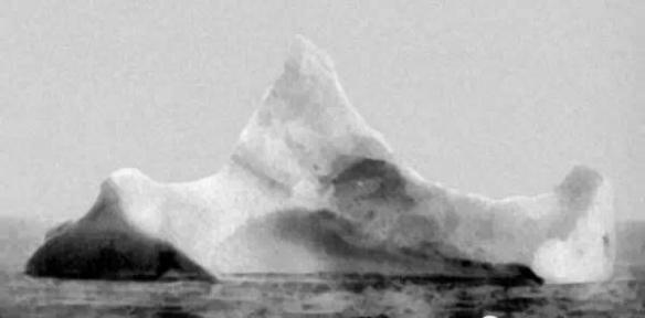 儿童大熊猫合影,儿童大熊猫图片