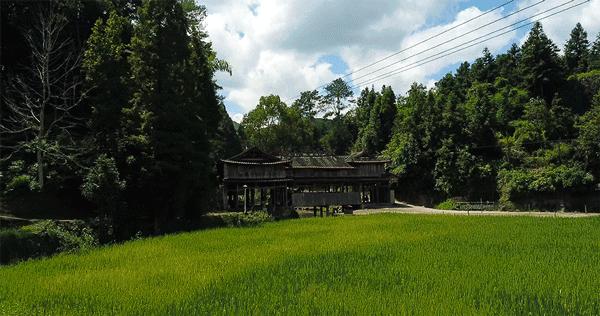 探索秘境,泰顺小众秘境