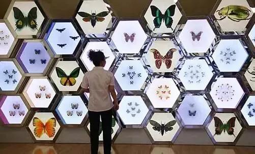 上海地铁沿线景点全部免费,上海地铁11号线上海赛车场