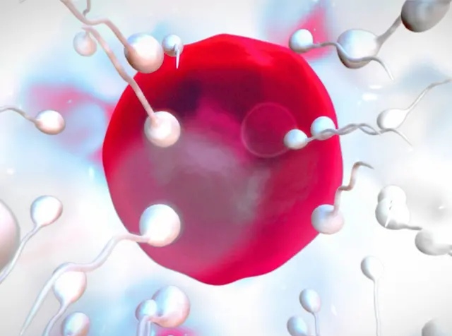 传播性极强的生殖器疱疹会影响生育，患病后要做好这三件事