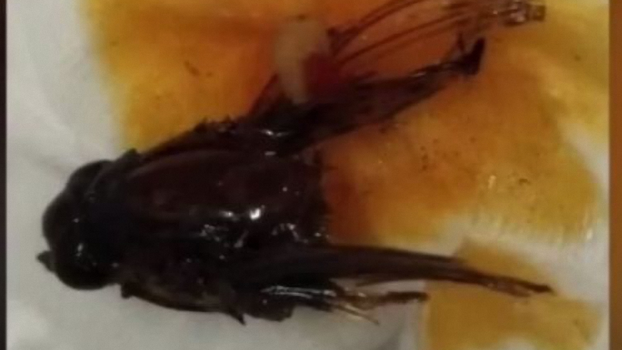 卫龙辣条车间是什么样子,1999卫龙辣条生产车间