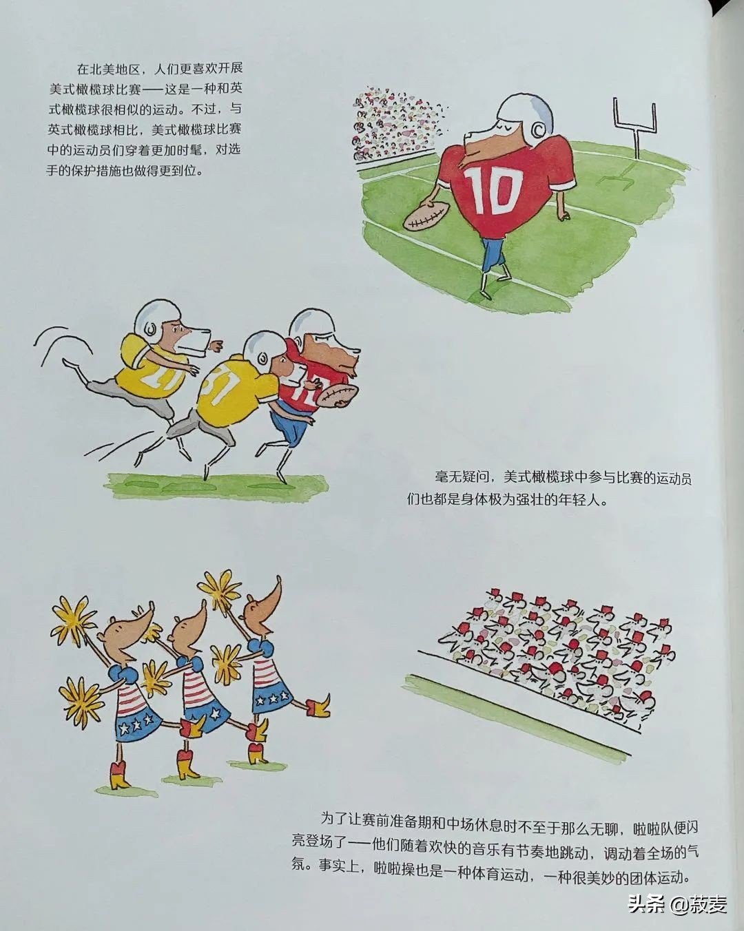 3-6岁运动绘本,儿童运动指南绘本