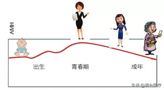 如何通过检查指标判断是否怀过孕,如何确认是否好孕