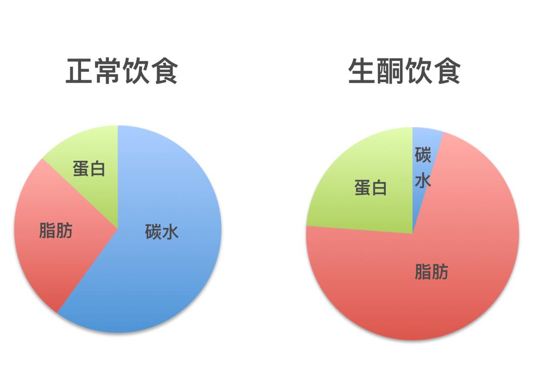 4天瘦9斤食谱大全,5天轻断食瘦12斤食谱
