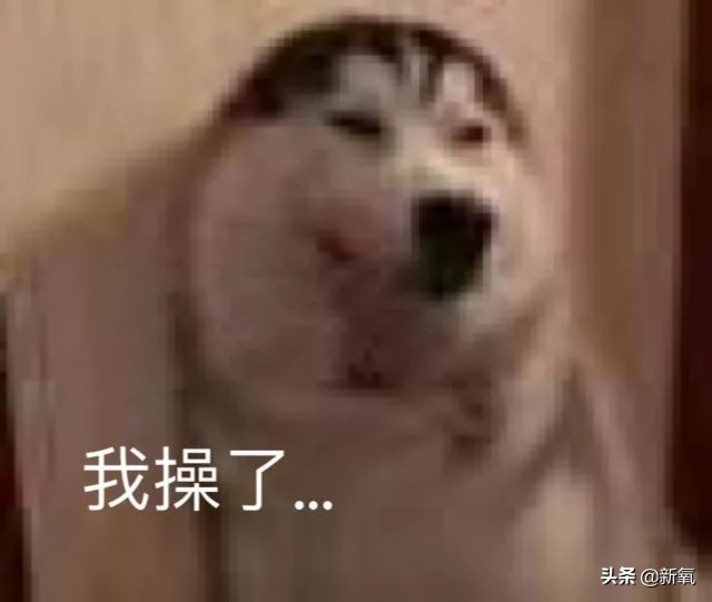 泰国坑中国游客,泰国坑中国游客后续