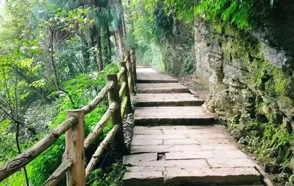 峨眉山降价最新消息,峨眉山的门票打折什么时候结束