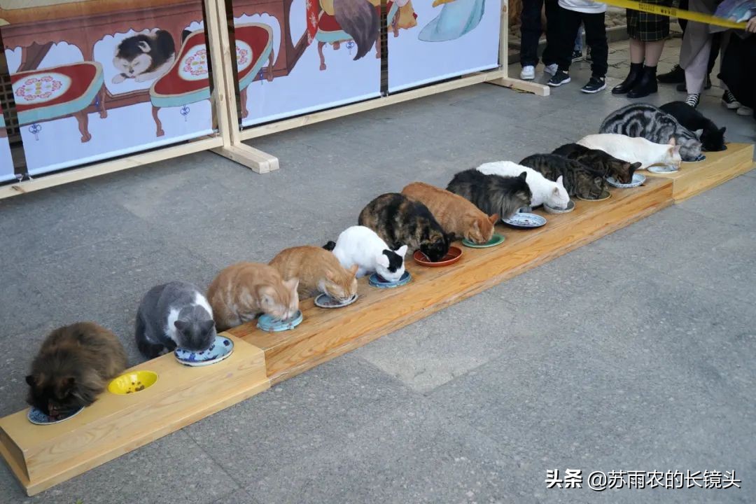 北京十年美景,北京深处不可不看的60处风景