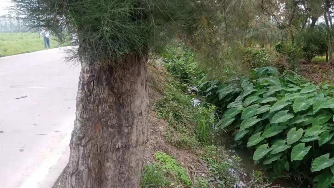 往前开，往鱼塘开！8年驾龄老司机的“翻车”过程