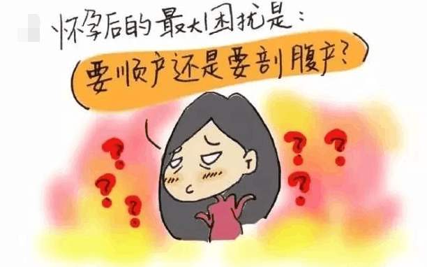 有感母亲节：Hcg下降！那个医生曾劝我放弃的孩子，我生下来了