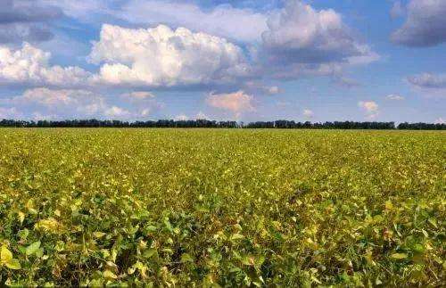 中国人在远东种地,中国人在俄罗斯远东种地怎么样