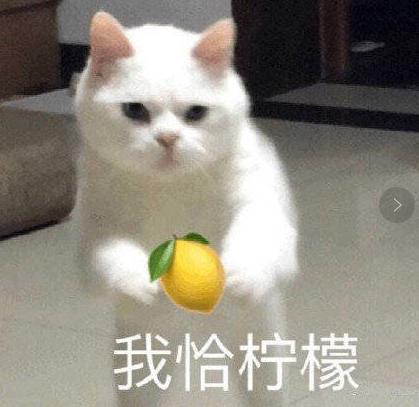 娃友们的福音：泡泡玛特入驻哈噜玛特啦