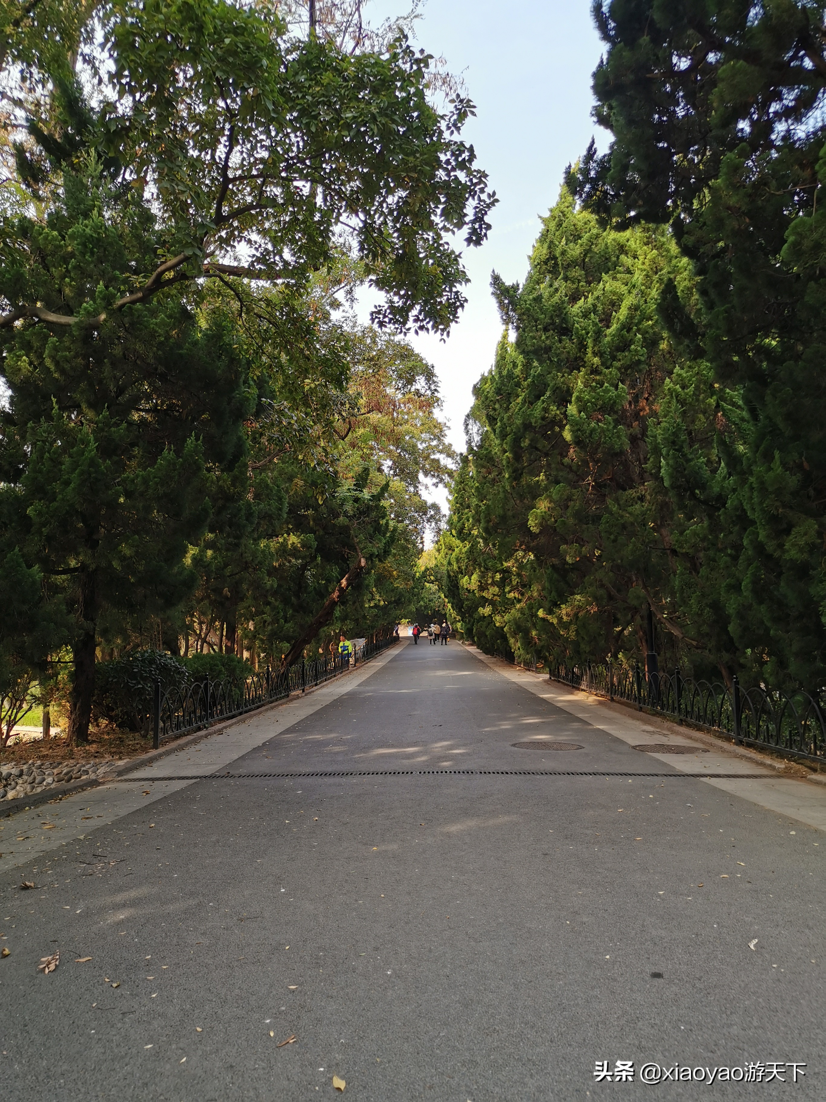 青岛八大关将军楼,青岛八大关风景区