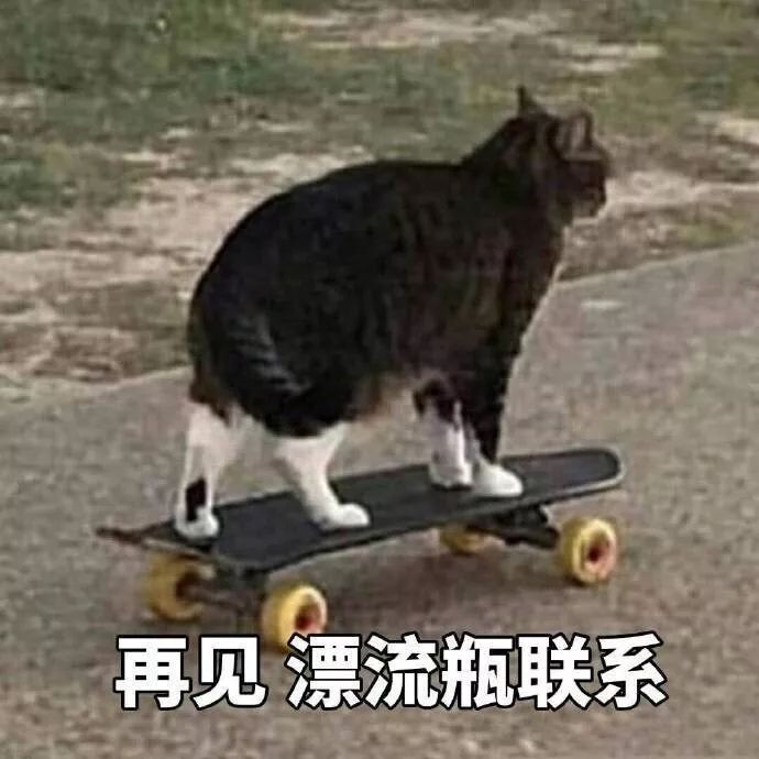 老一辈的猫长肿瘤了怎么办,猫咪身体里长了个肿瘤