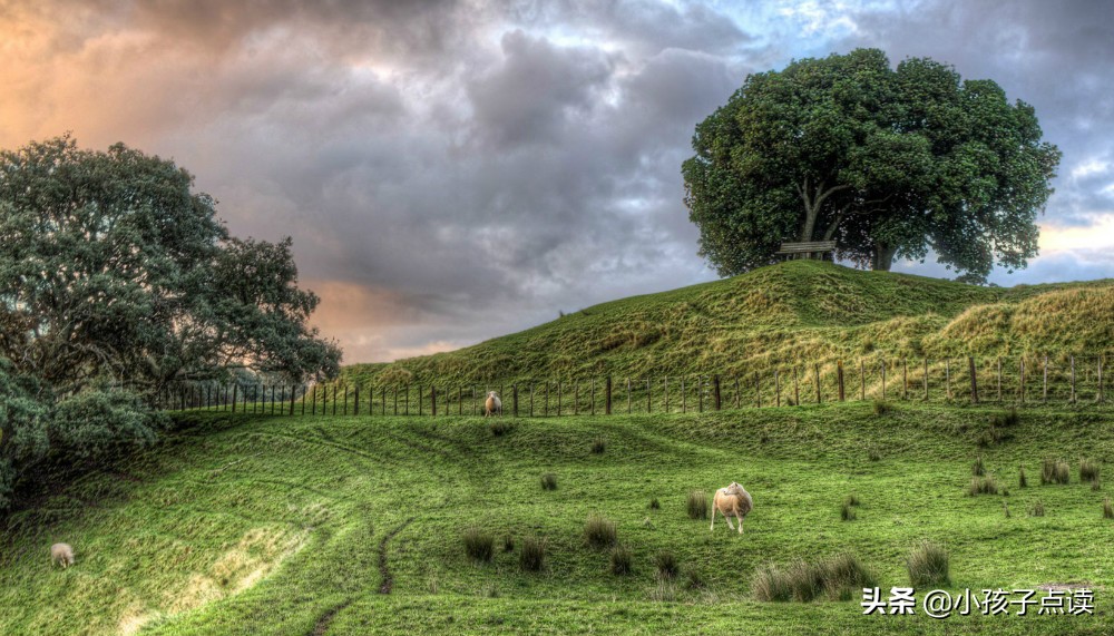 楷体古诗词大全300首,带序字的诗句古诗大全
