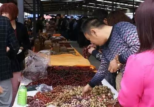 木质手串一般买什么材料的好,手串木质排行榜