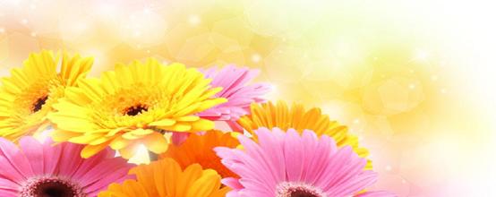 萎缩性阴道炎症状及治疗,老年阴道炎症状用什么药