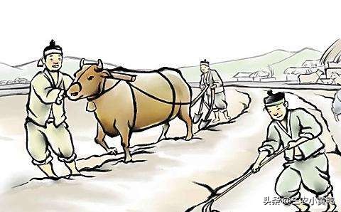 2020年寡妇年什么意思,2023年的寡妇年是啥意思