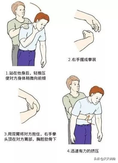 狗狗吞了牙签自救的方法,狗狗误吞异物排不出来怎么办