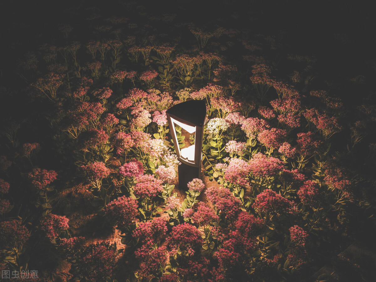 歌曲暗香沙宝亮,精彩音乐汇暗香沙宝亮