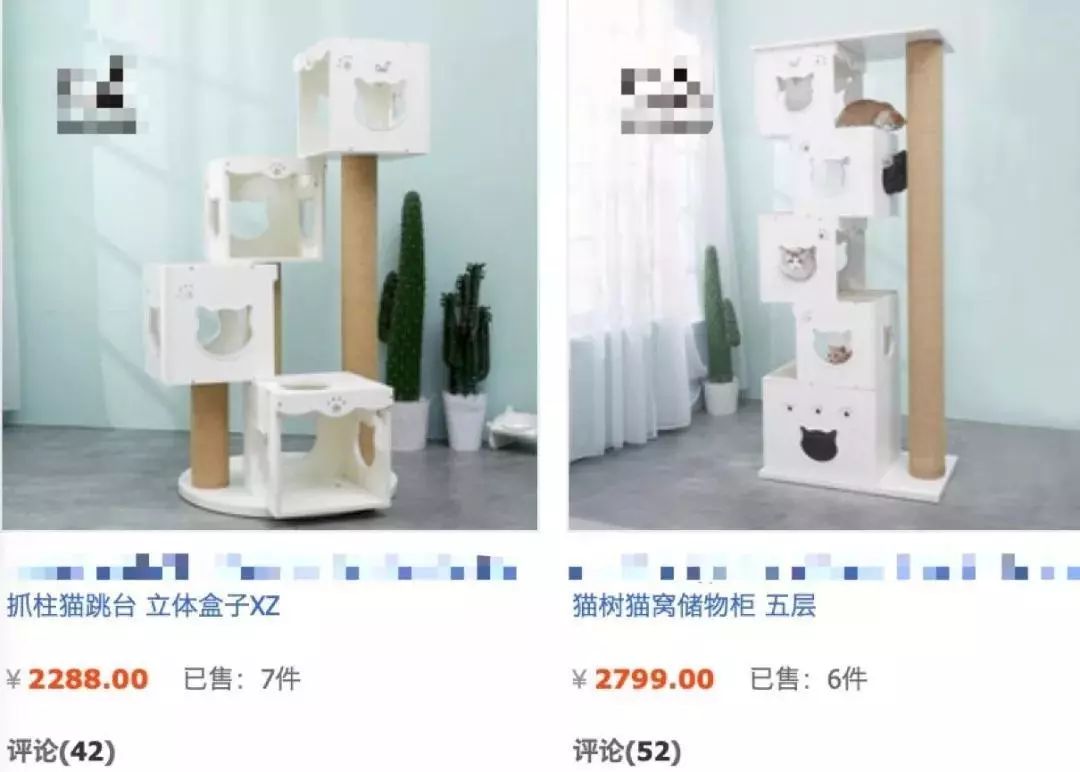 你家的猫太温顺了吗,你家的猫为什么这么乖