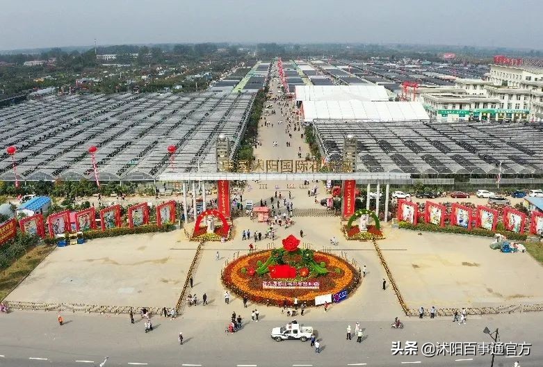 沭阳23个重大项目是哪些,沭阳重点发展的4个城镇