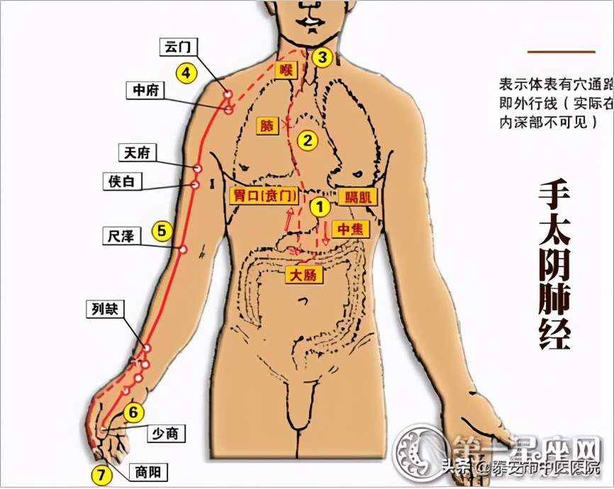 泰安中医医院郗洪滨,泰安中医医院郗洪滨简介