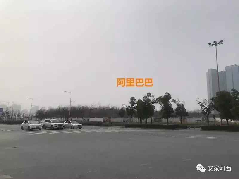 河西新城小区划片,新城四小