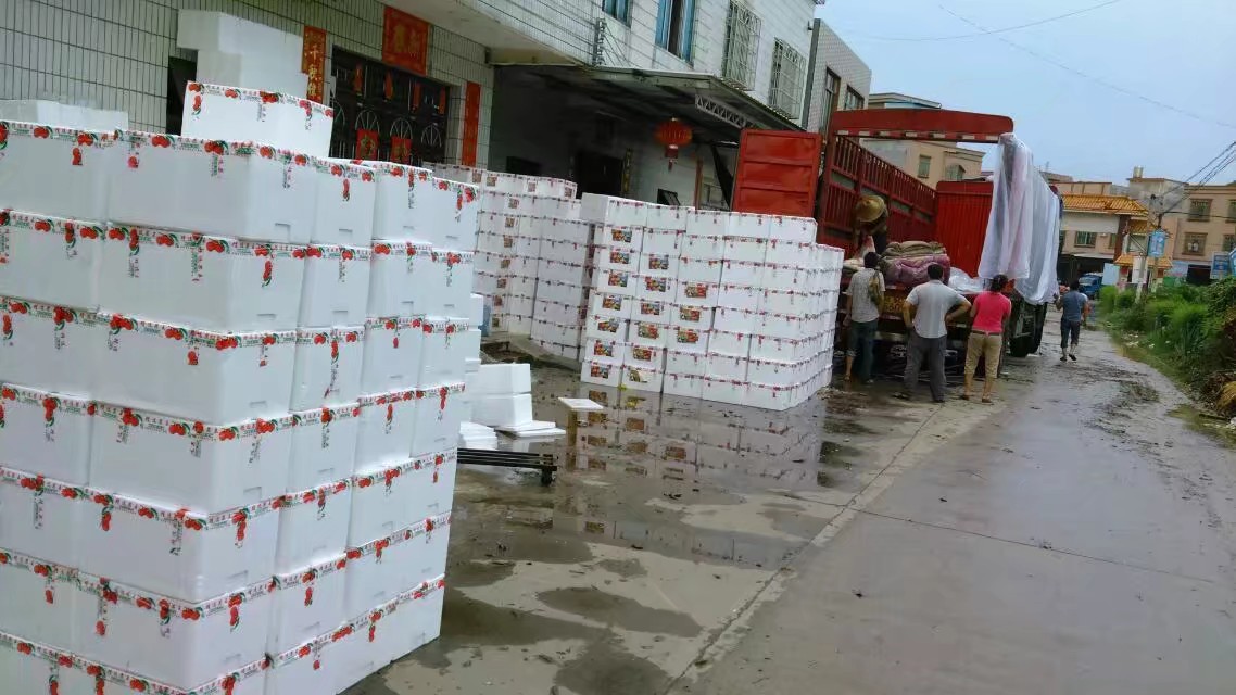 高州市根子镇荔枝博物馆,高州根子荔枝最出名的地方