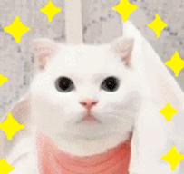 美白神器告别黄皮肤测评,黄黑皮专用美白神器