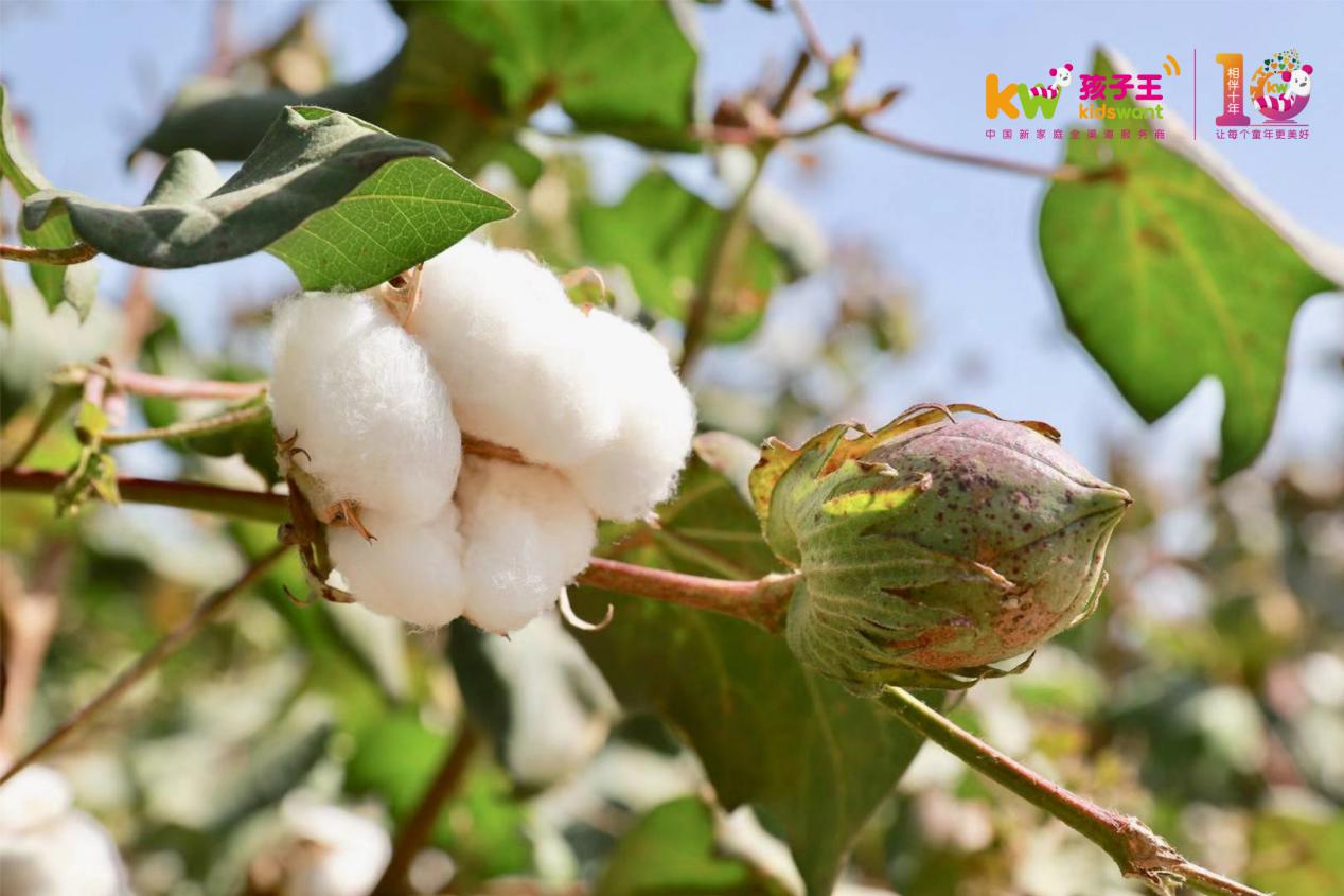 孩子王初衣萌代工厂,孩子王初衣萌童装官方旗舰店