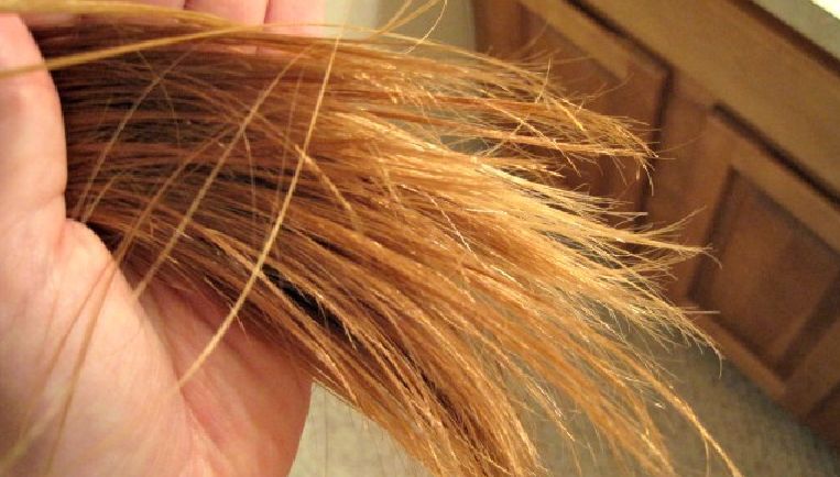 孕妇头发干枯毛躁怎么护理,老人头发干枯毛躁怎么护理