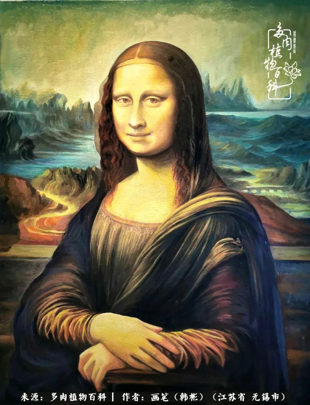 阳台多肉花园简直美翻了,适合男生养的多肉