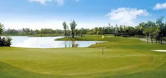 这才是上海最好的牛肉面,近期上海最牛的区