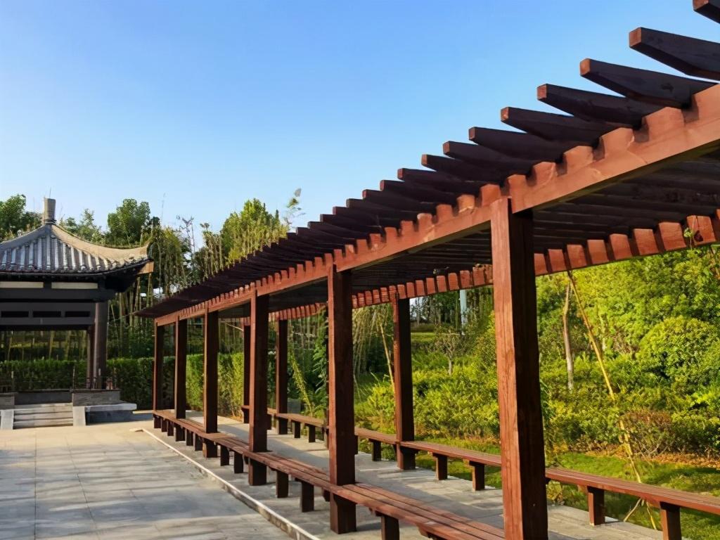 洛阳粉色花海,洛阳近郊惊现绝美花海