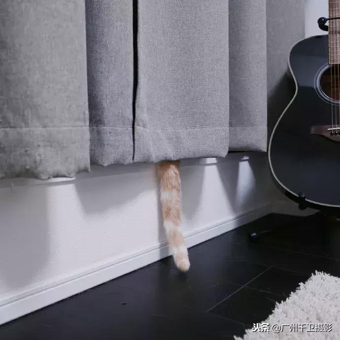 摄影必学的9种构图方法,摄影萌新必学12个构图技巧