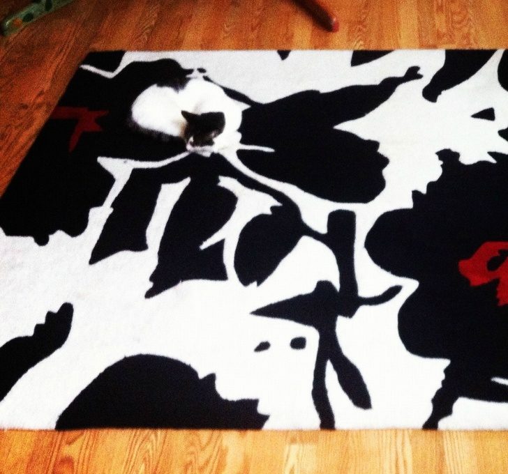 鐚挭鐙楃嫍鎴愮簿浜嗛兘浼氳璇濅簡,鐚挭鐙楃嫍鍙樺寲