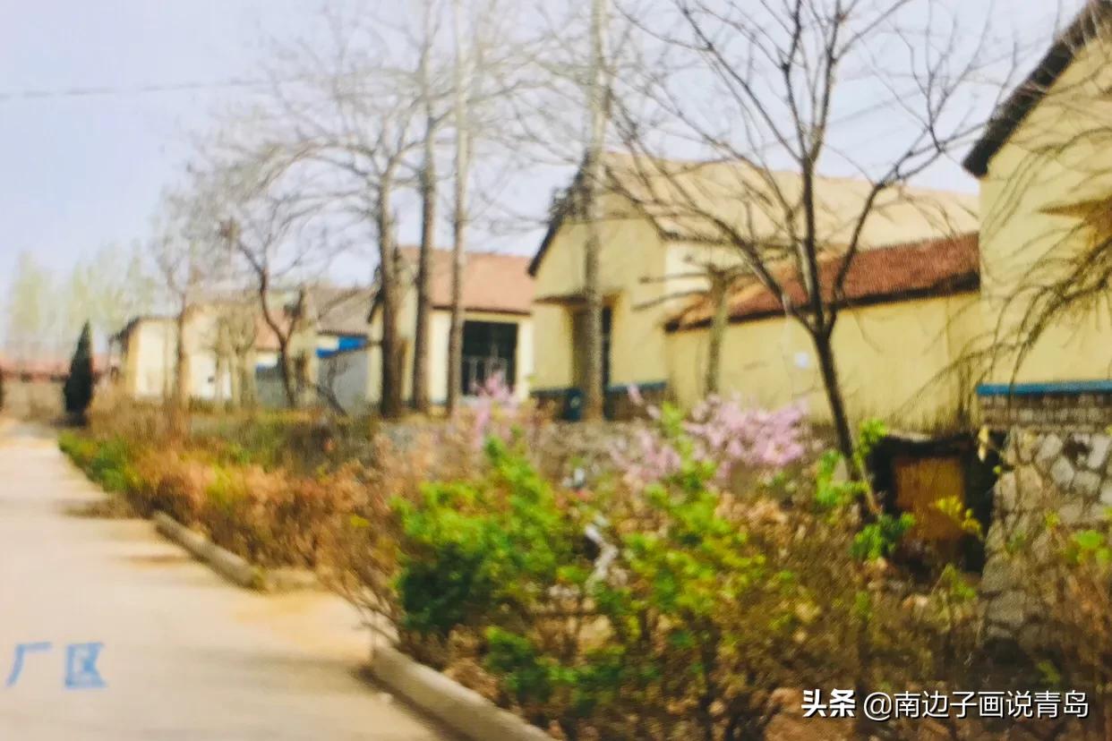 台东旧事：内蒙古路，青岛工具厂备战备荒搬迁，曾获中央军委感谢