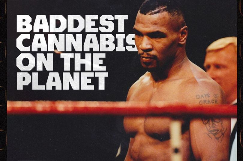 传奇的延续!毒枭泰森推出最新产品,产品的名字太霸气