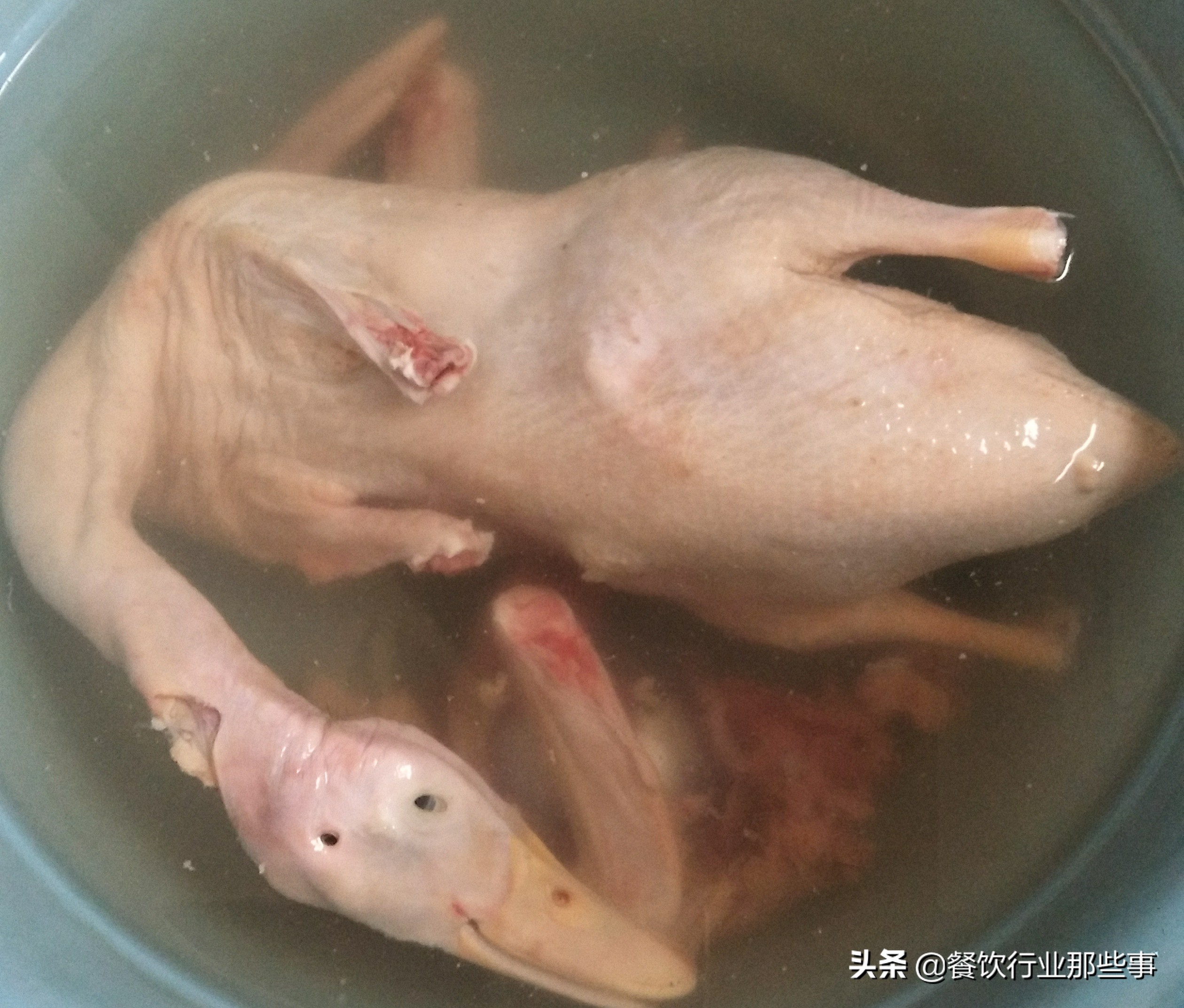 盐水鸭用什么鸭子做比较合适,盐水鸭真材实料才能做出好味道