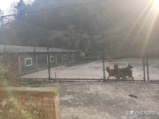 探秘荒废的城堡,探秘废弃堡垒